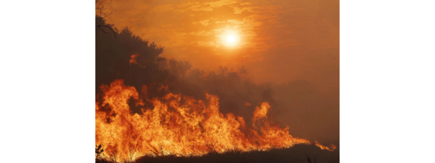 Incêndio no Pantanal. Foto Lalo de AlmeidaFolhapress